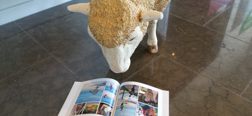 האפליקציה של לופה: קווים לדמותה