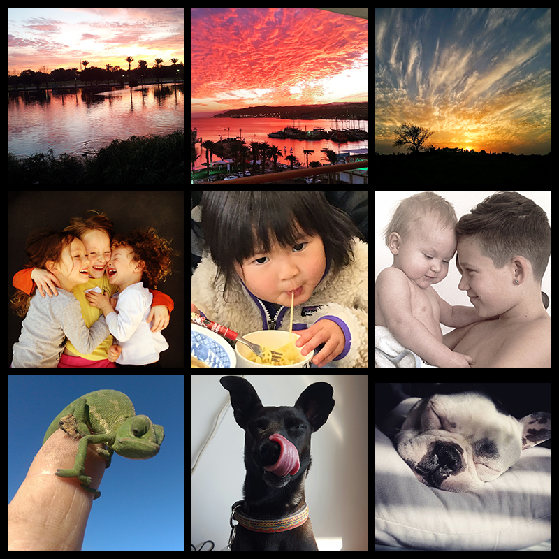 תחרות אמנות הצילום בטלפון